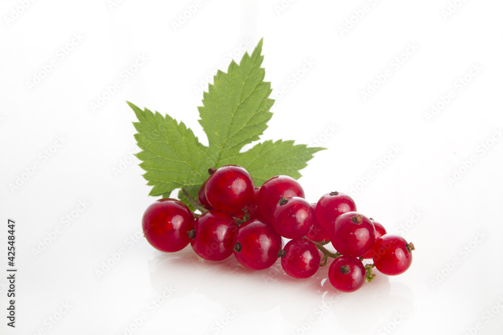 johannisbeeren johannisbeeren