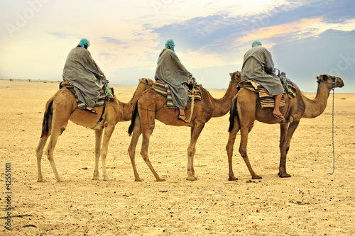 Camel caravan in desert, Sahara, Tunisia