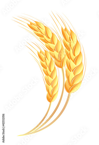Wheat ears icon