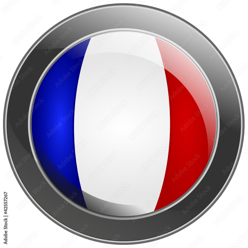 Protective shield with the flag of France