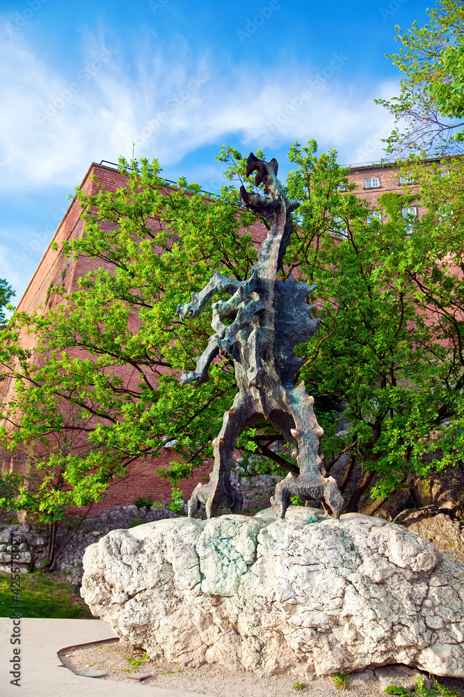 Fototapeta premium Wawel Dragon