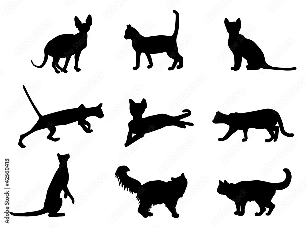 Cats vector silhouettes