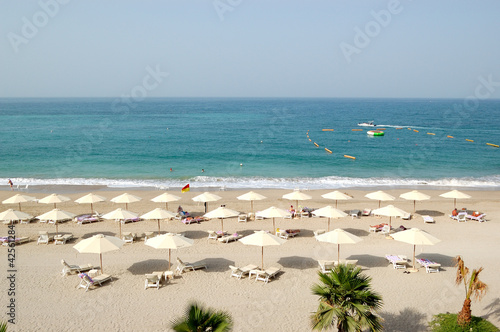 Beach of the luxury hotel, Fujairah, UAE photo