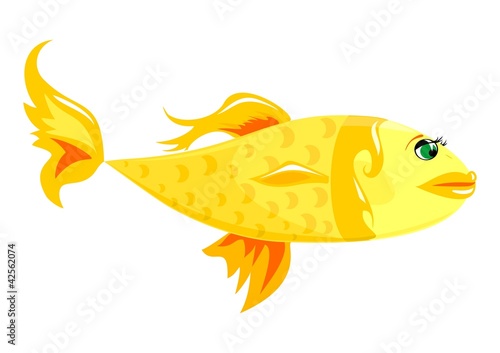 Glamour gold fish with green eyes.