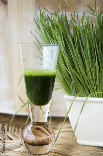 Принти на полотні shot of wheatgrass juice