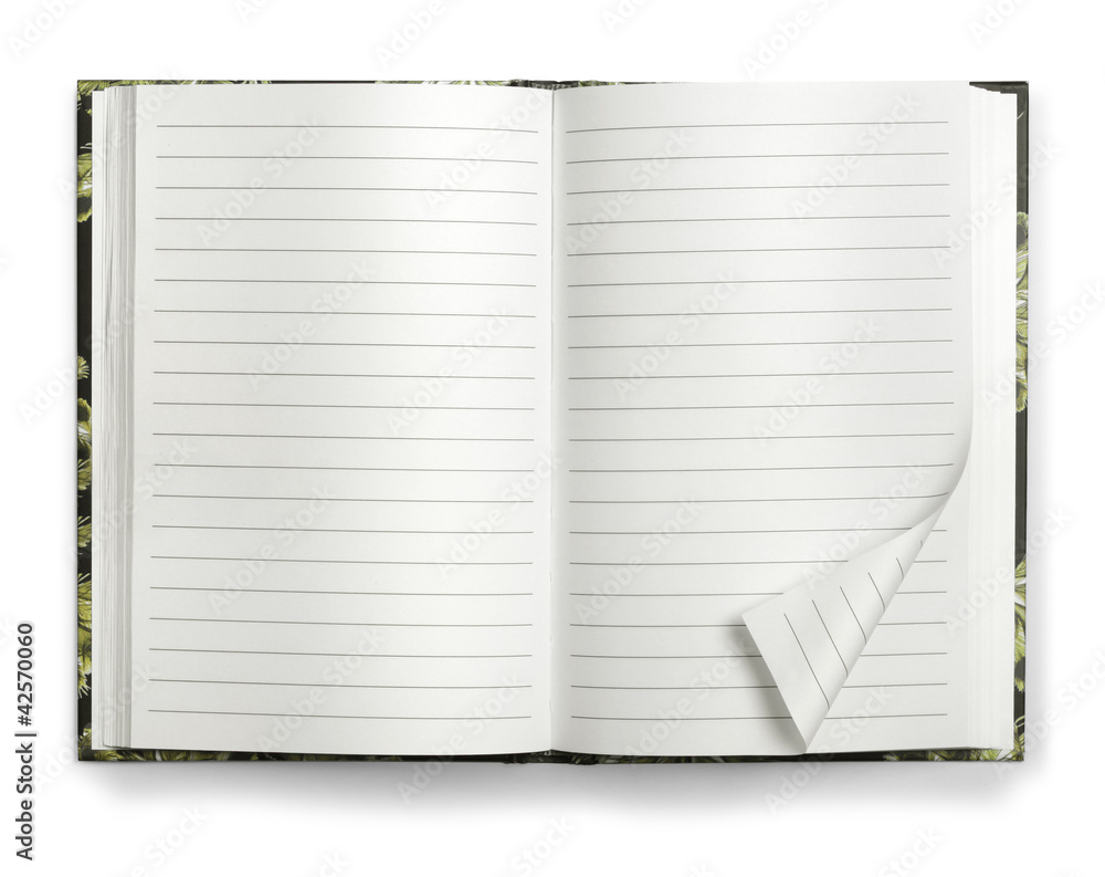 Blank open paper notebook Blank open paper notebook