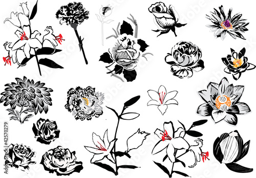 Fototapeta Naklejka Na Ścianę i Meble -  flower sketches collection isolated on white