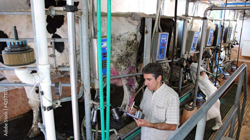 Quadro su tela Dairy Business Management