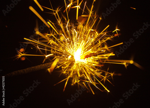 Wallpaper Mural celebration Torontodigital.ca