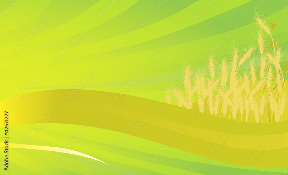 golden wheat on green background