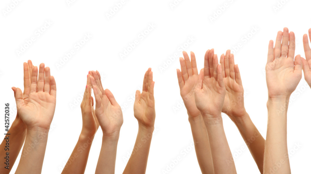 group of young people's hands isolated on white group of young people's hands isolated on white