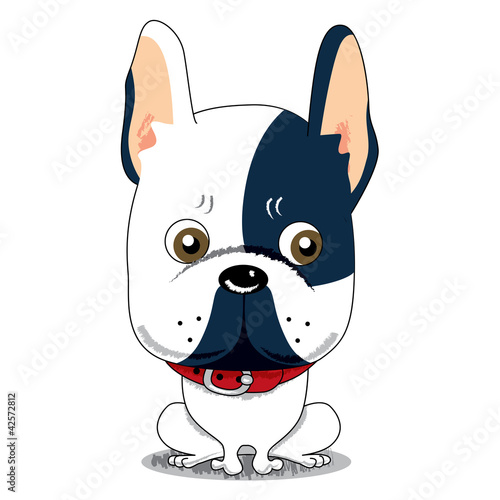 Cute French Bulldog
