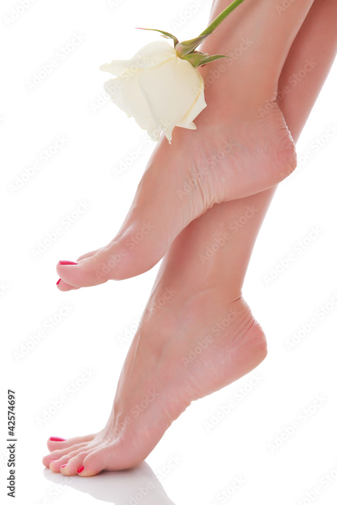 Female feet with white rose, white background