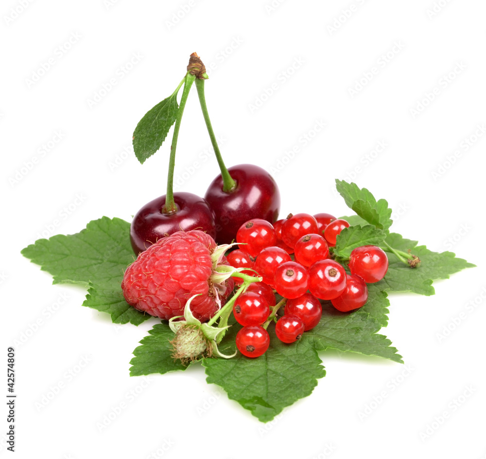 fresh berries in paper form isolated fresh berries in paper form isolated