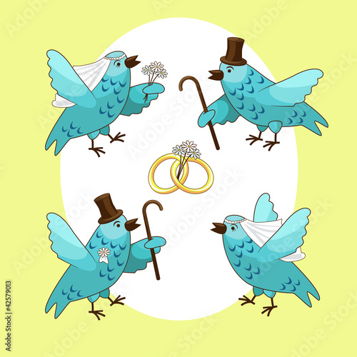 bird's wedding