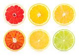 collection of 6 citrus sices