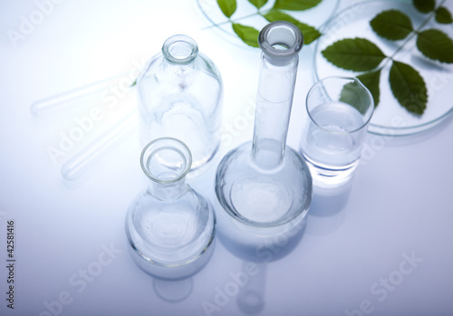 Floral science in laboratory  photo