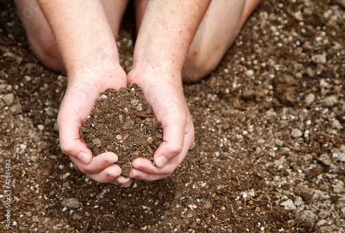 Close-up of child holding dirt