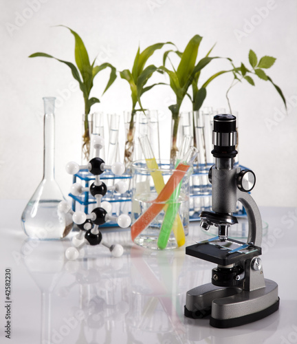 Biotechnology , Plant laboratory