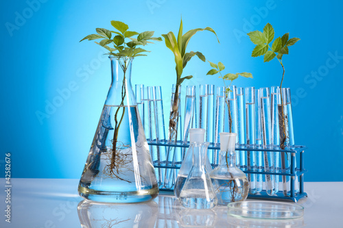 Biotechnology , Plant laboratory photo