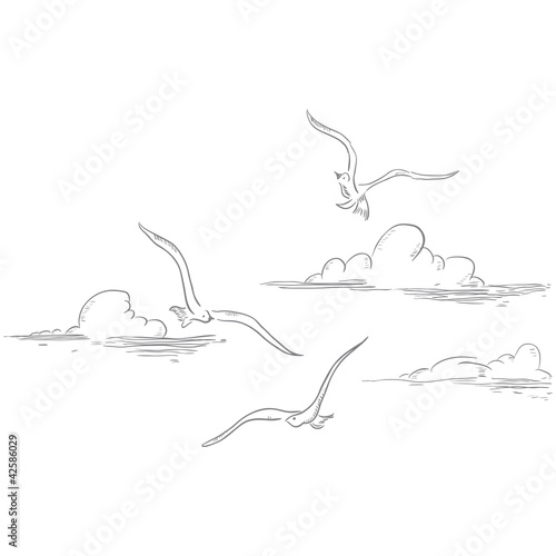 Gulls and clouds