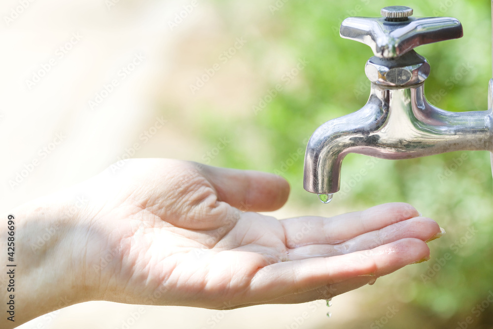 水を受け止める手