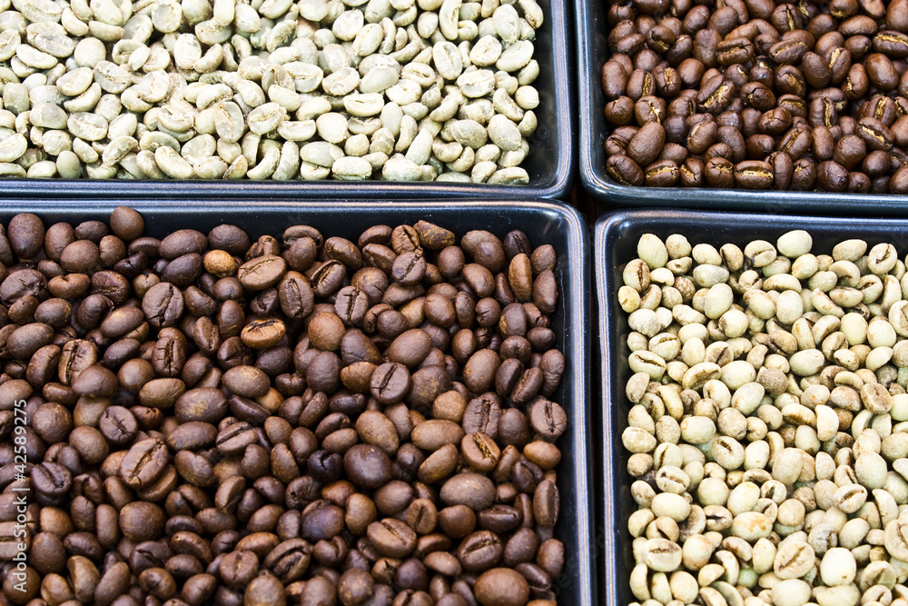roasted and green coffee bean roasted and green coffee bean