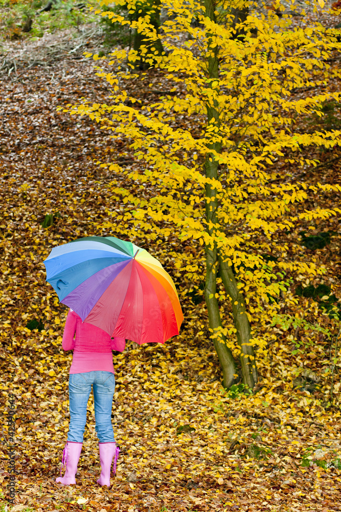 woman with an umbrella in autumnal nature
