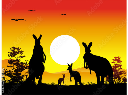 Australia sunset with kangaroo family silhouette
