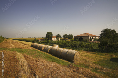 Delta del Po, provincia di Rovigo