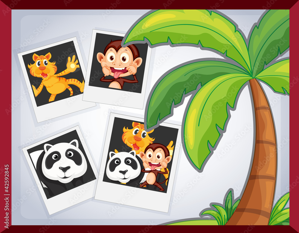 Naklejka premium animal photoframe