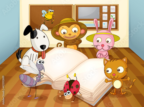 animals in classroom