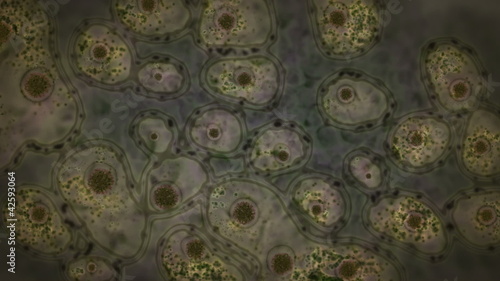 Dynamic cells motion