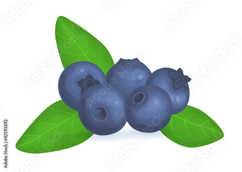 Blueberries