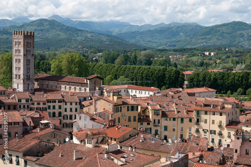 Lucca, Blick vom Turm des Palazzo Guinigi 3