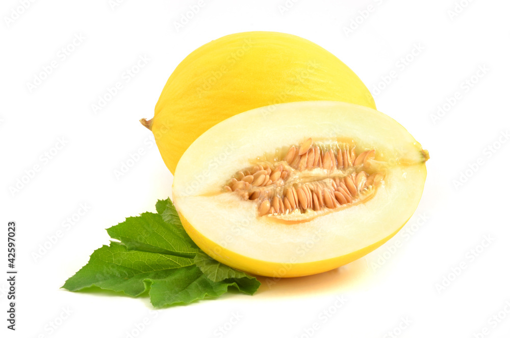 Honigmelone StockFoto Adobe Stock