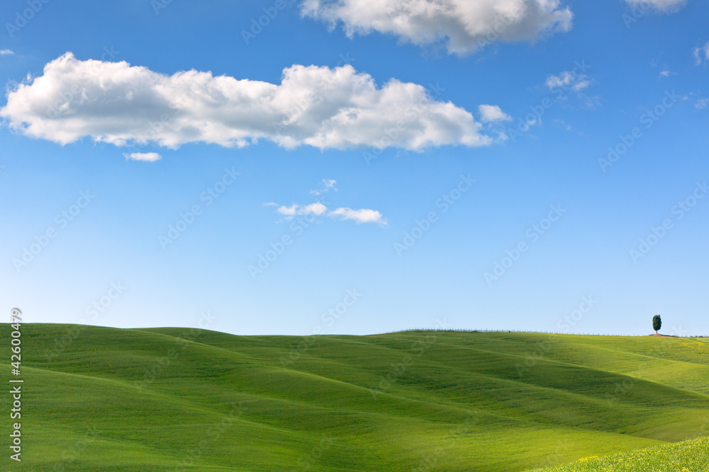 Fototapeta premium Tuscan Val d'Orcia background