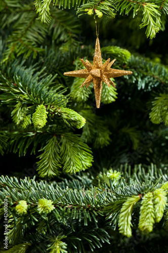 Star shape Christmas ornament in gold