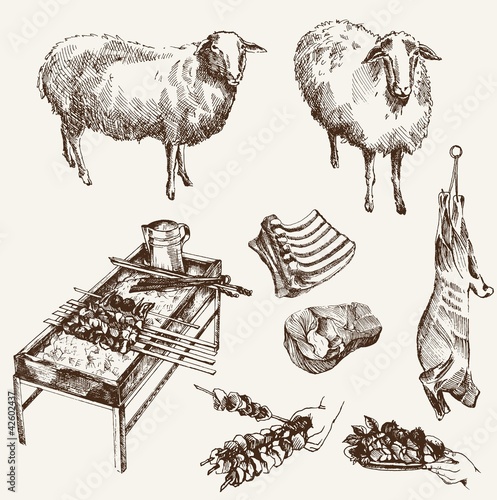 sheep breeding