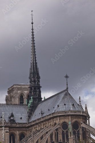 Fototapeta Naklejka Na Ścianę i Meble -  Notre dame de paris cathedral in paris, France