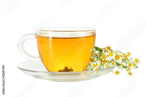 Tea cup and chamomile flowers isolated on white background