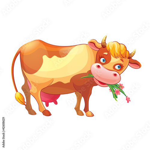 Cow