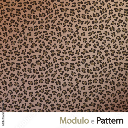 Animalier - Leopardato1 photo