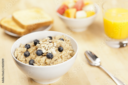 Organic Cooked oatmeal with blueberries