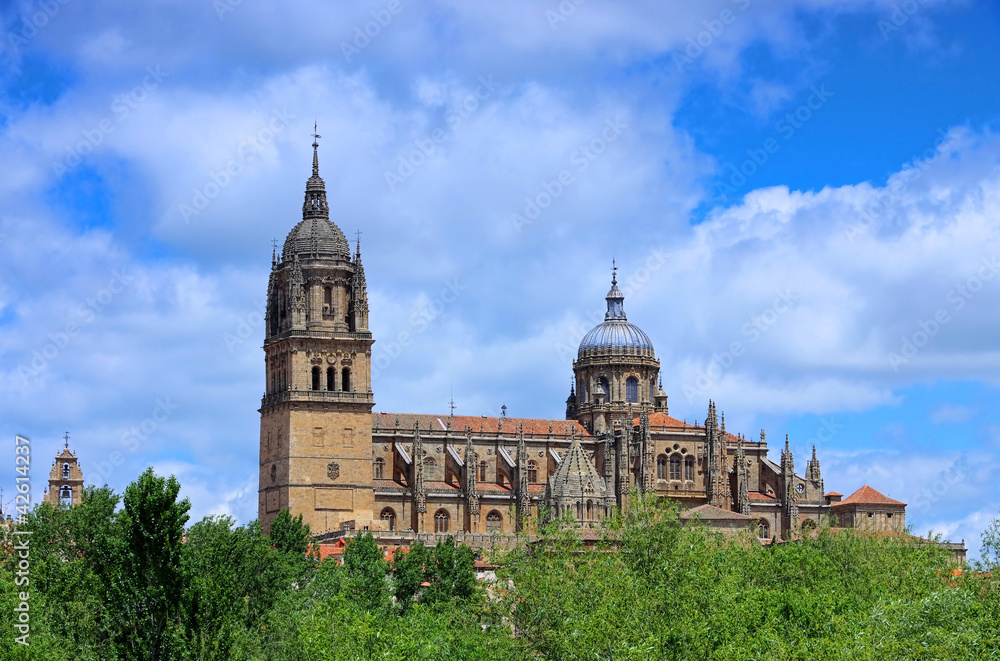 Salamanca Kathedrale 01