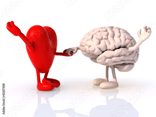 heart and brain that dance photo