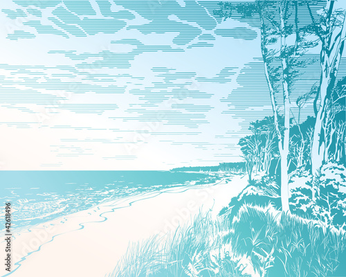 Seaside at Baltic Sea, Darss Coast