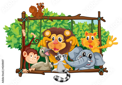 various animals