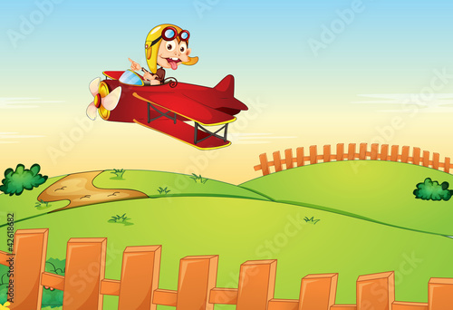 monkey driving aircraft