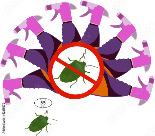 insetticida spray
